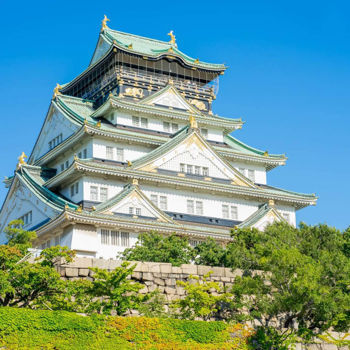 Ιαπωνια wandervan ταξιδι (12)