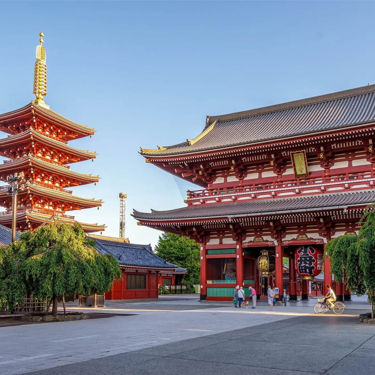 Ιαπωνια wandervan ταξιδι (13)