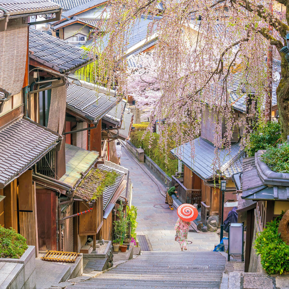 Ιαπωνια wandervan ταξιδι (14)