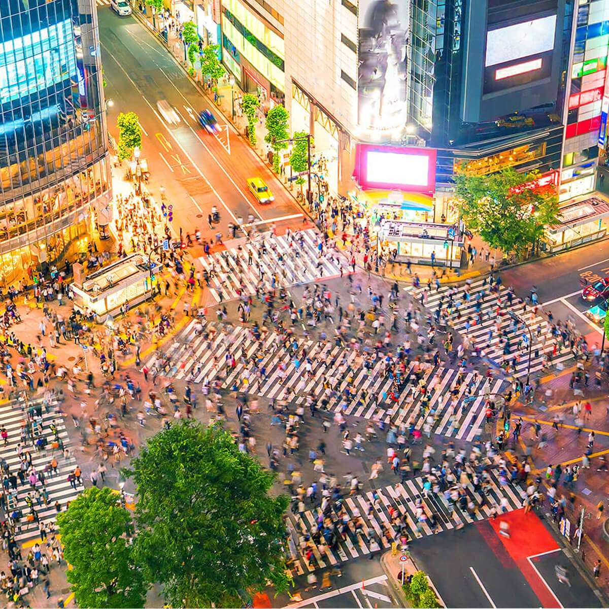 Ιαπωνια wandervan ταξιδι (16)