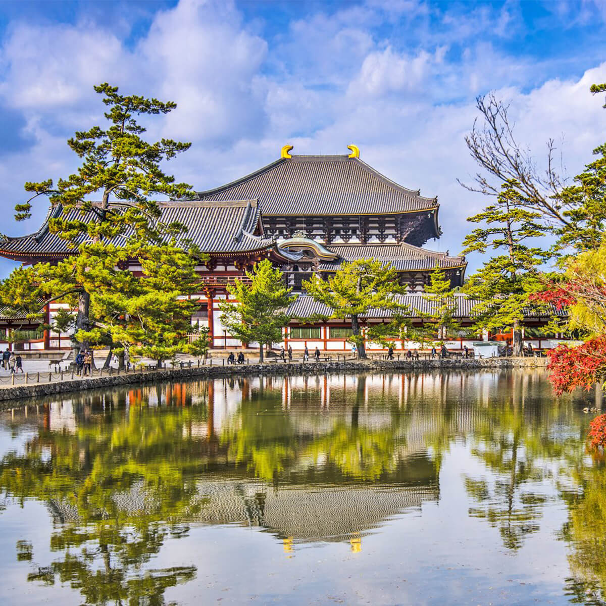 Ιαπωνια wandervan ταξιδι (17)