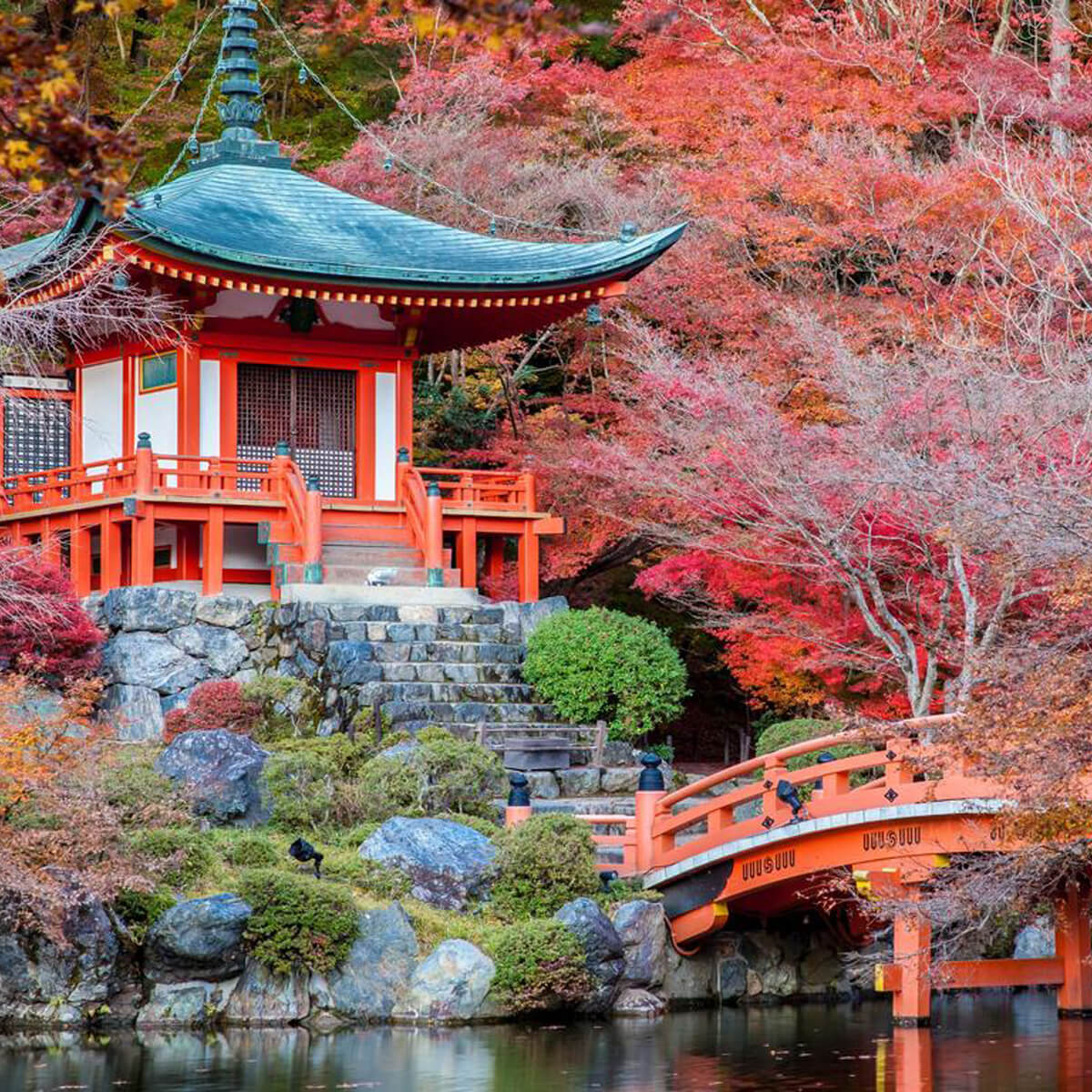 Ιαπωνια wandervan ταξιδι (5)