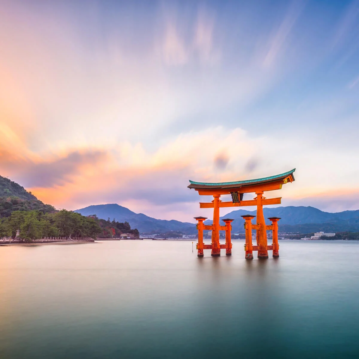 Ιαπωνια wandervan ταξιδι (7)