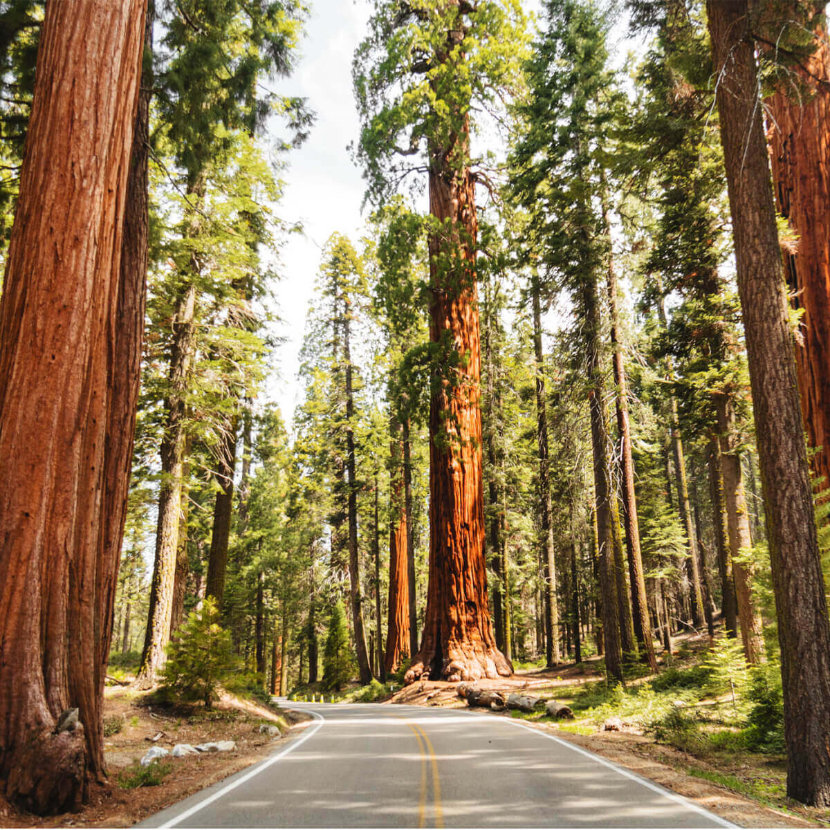 Δυτικες Ηπα route 66 wandevan roadtrips (15)