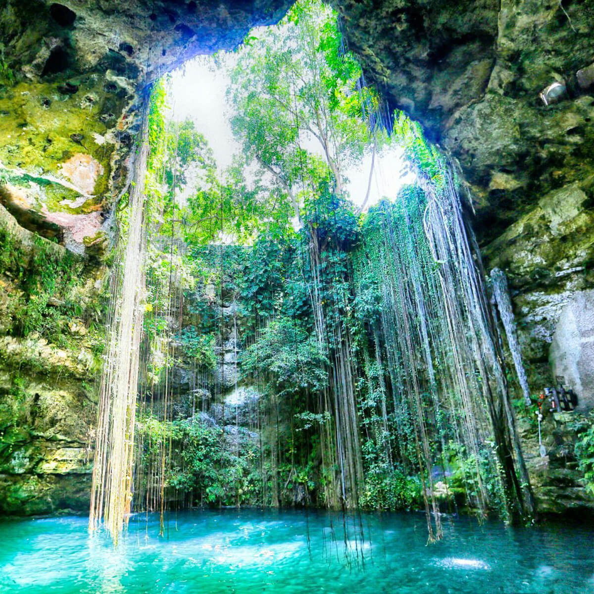 Μεξικο WanderVan Road Trips (6)