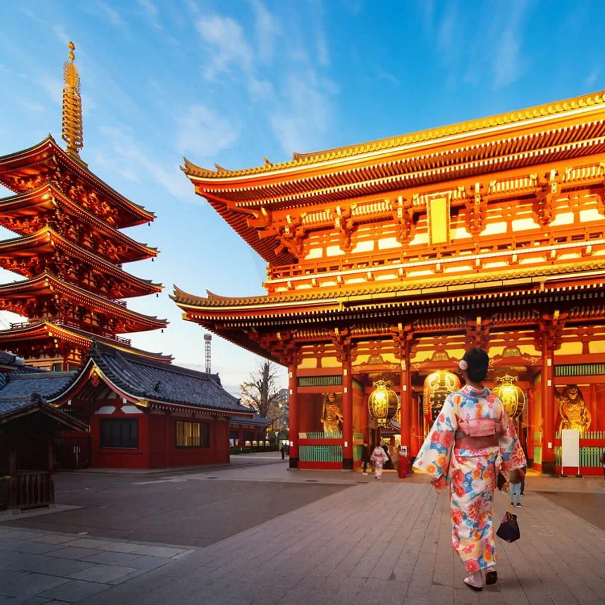 Ιαπωνια ταξιδι WanderVan (1)