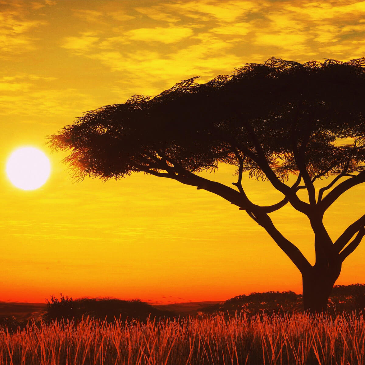 Τανζανια Ζανζιβαρη οργανωμενο Σαφαρι WanderVan (1)