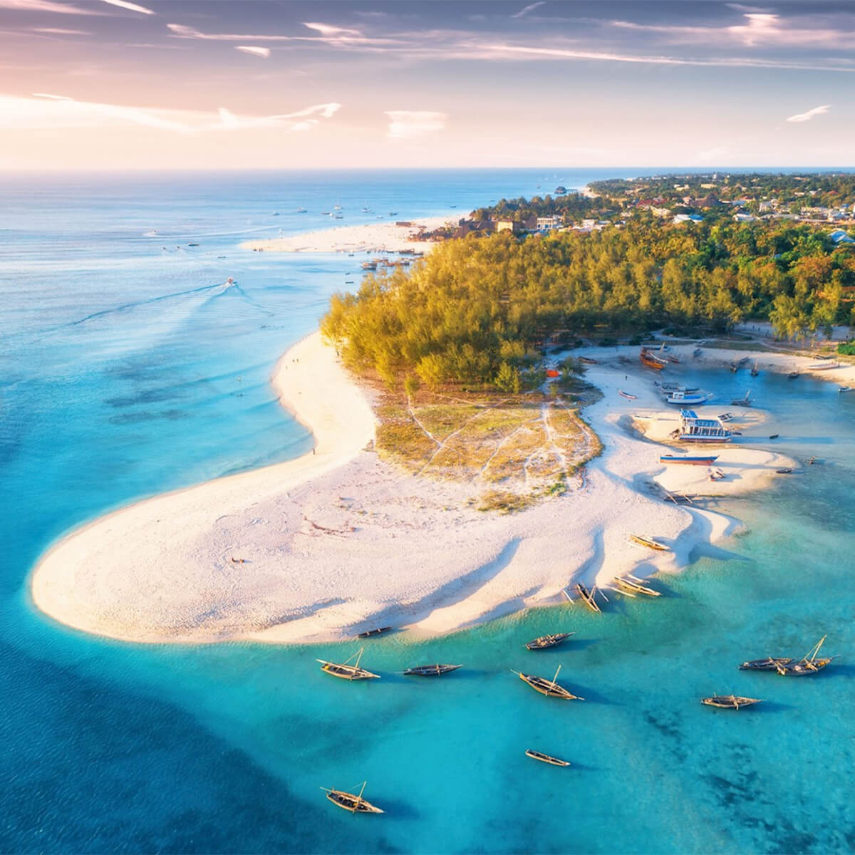 Τανζανια Ζανζιβαρη οργανωμενο Σαφαρι WanderVan (11)