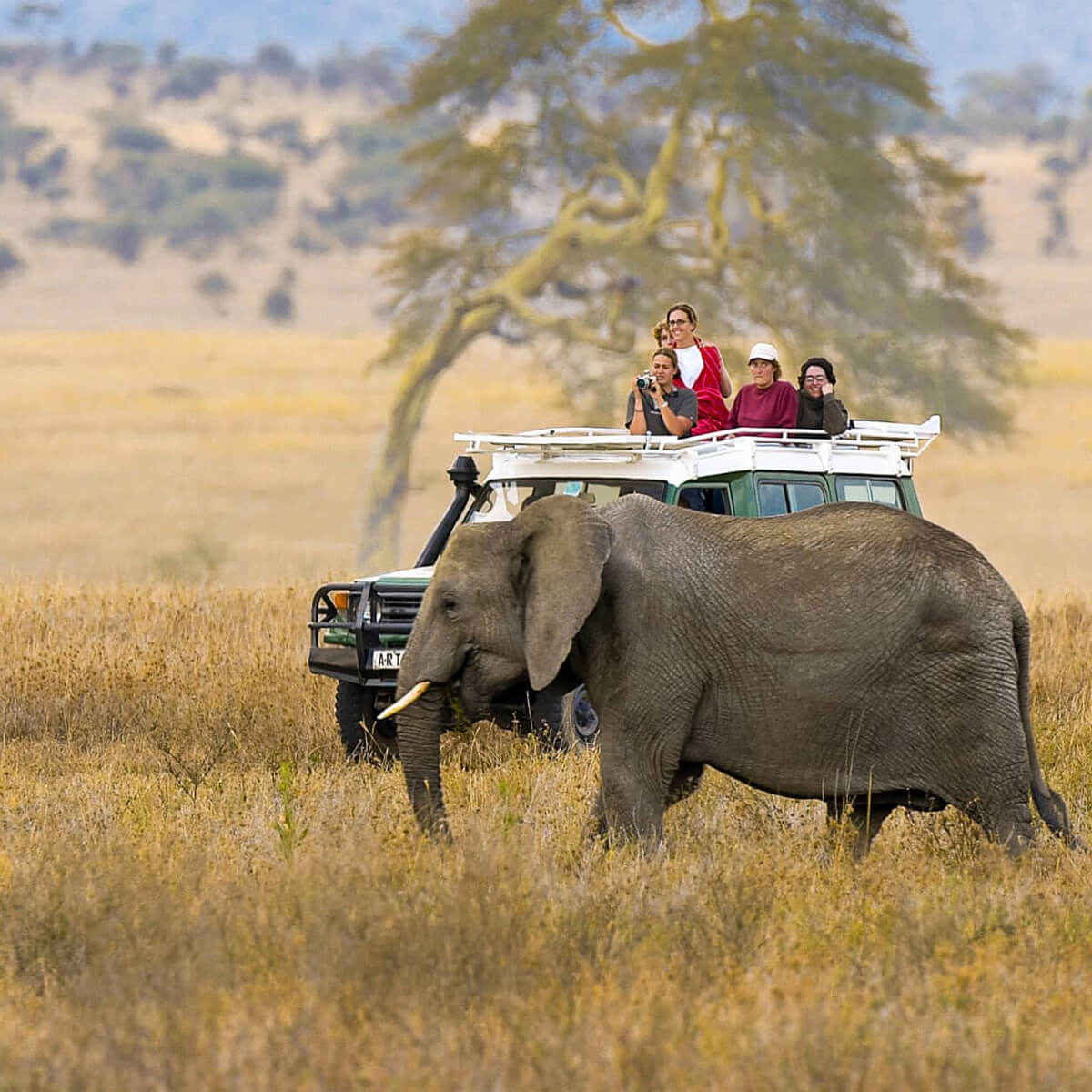Τανζανια Ζανζιβαρη οργανωμενο Σαφαρι WanderVan (4)