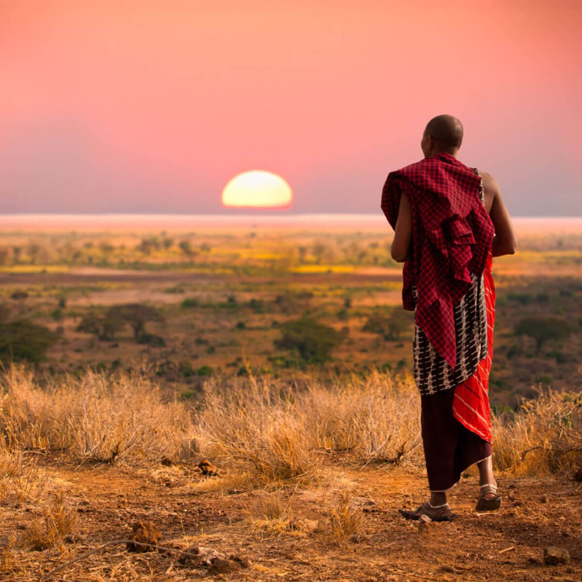 Τανζανια Ζανζιβαρη οργανωμενο Σαφαρι WanderVan (5)