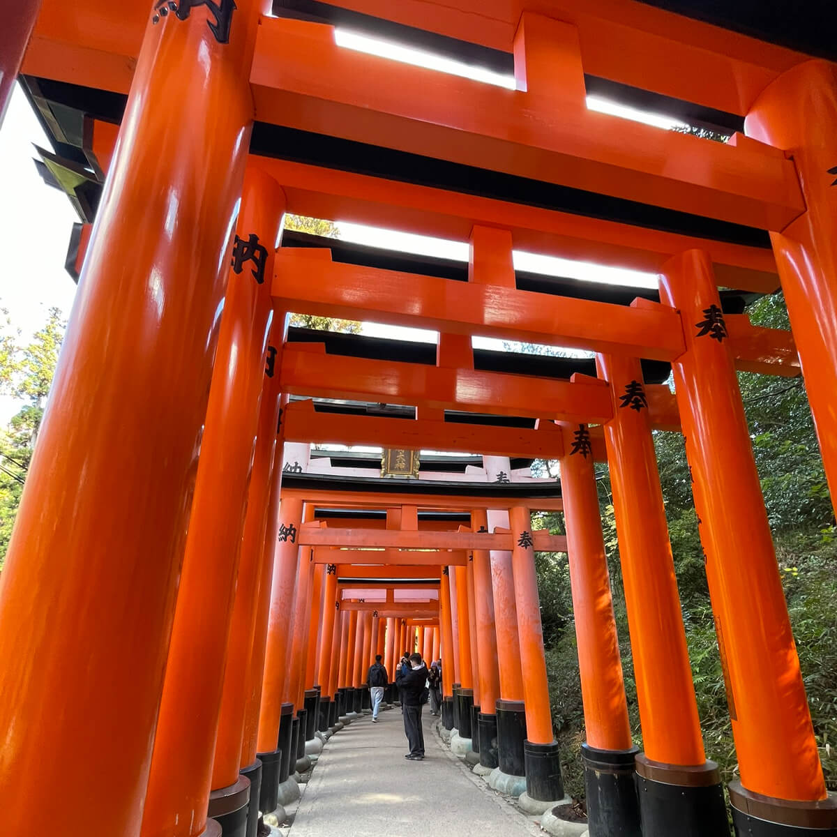 Fushimi Inari Taisha Κιοτο Ιαπωνια