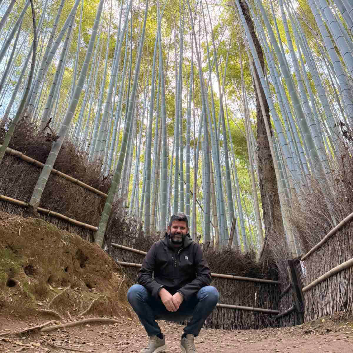 Arashiyama Bamboo Forest κιοτο ιαπωνια