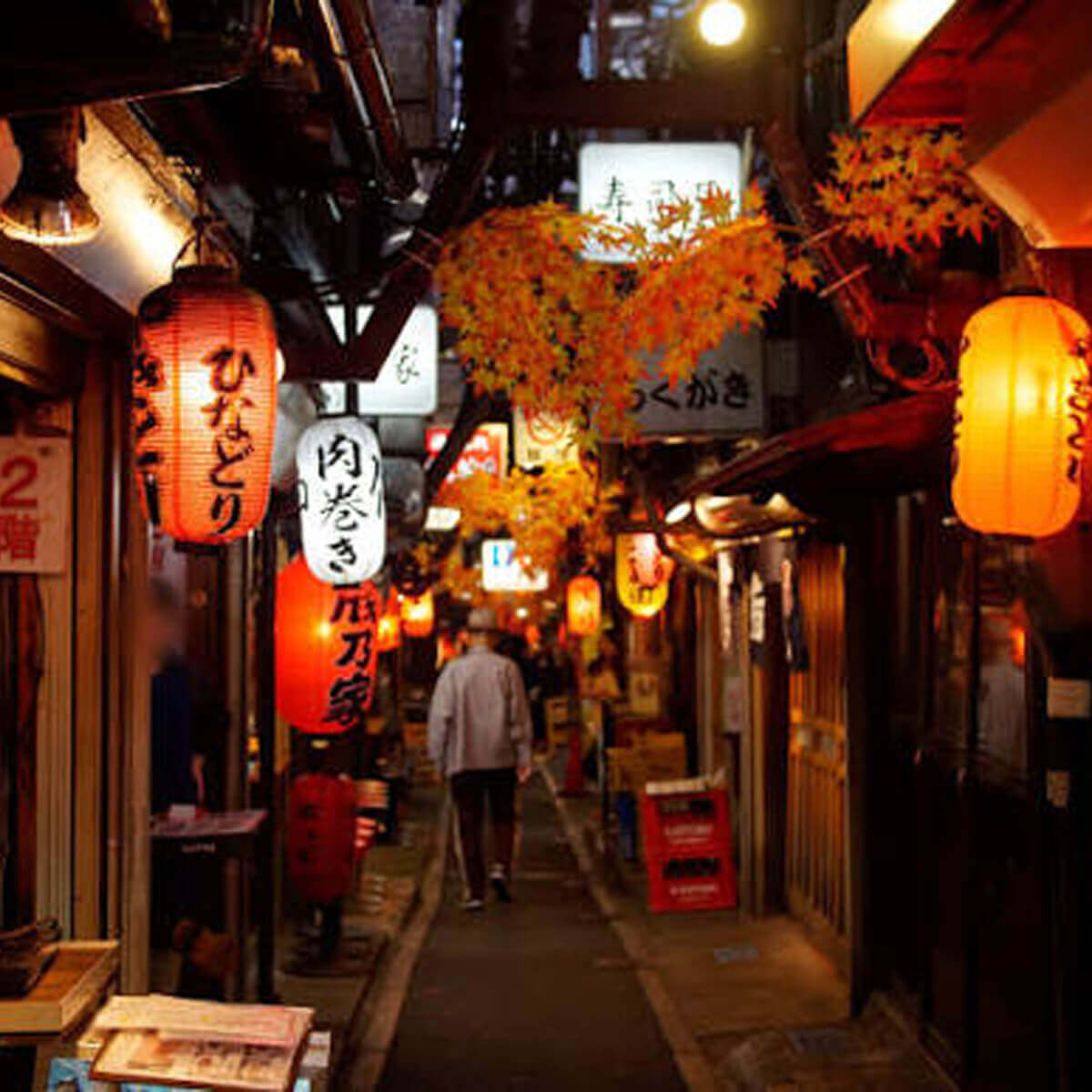 kyoto izakaya food adventure wandervan road trips (6)
